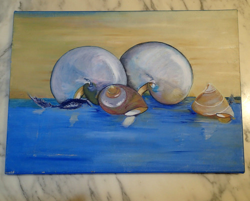 Marine coquillages souvenirs - coquillages,
