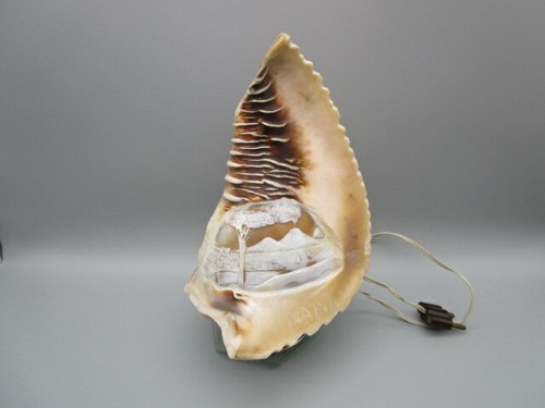 Ancienne lampe coquillage - ancienne,