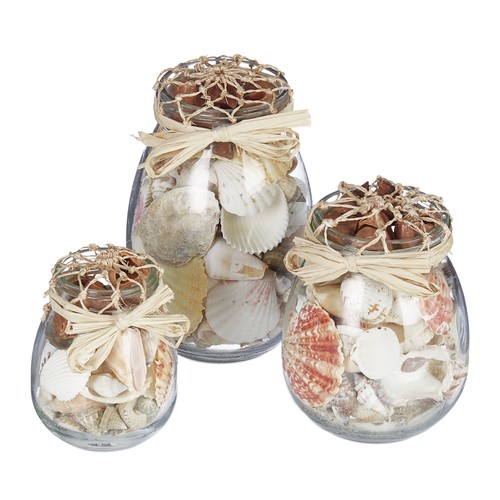 Deco plage bocaux coquillages